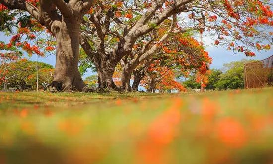 適合在冬天旅游的十個絕美海島！