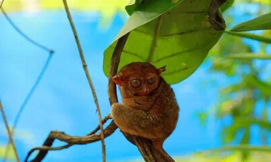 適合在冬天旅游的十個絕美海島！