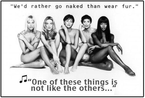時尚圈第一組群??棺h皮草大片 時尚圈第一組群模抗議皮草大片