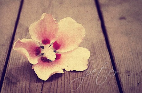 箬耶一周星座運(yùn)勢播報(bào)2013.11.18-11.24 箬耶一周星座運(yùn)勢播報(bào)2013.11.18-11.24