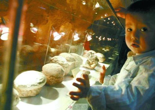 恐龍蛋，這回見識了吧！