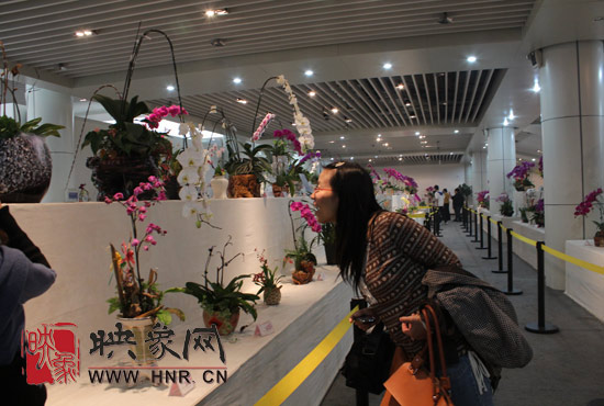 “溫馨九九重陽節(jié) 陪著父母去游園”活動圓滿舉行 “溫馨九九重陽節(jié) 陪著父母去游園”活動圓滿舉行