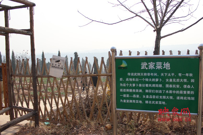 武家菜地就是這，據(jù)說里面有個特大的蘿卜