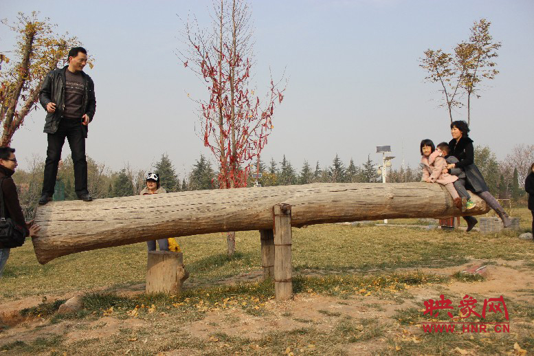 巨大的蹺蹺板，一棵樹。。?？赐娴亩噜? oldsrc=