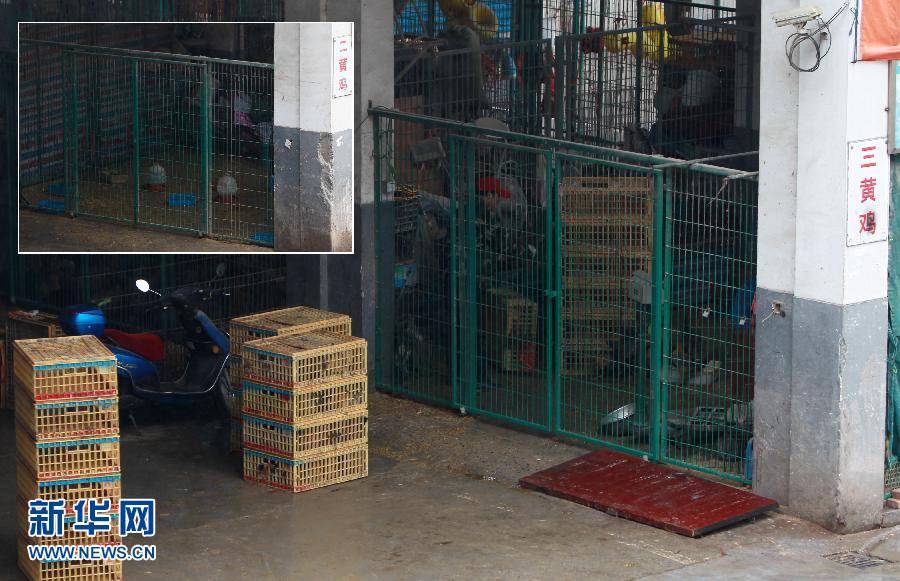 上海6日起暫?；钋萁灰?關(guān)閉所有活禽交易市場