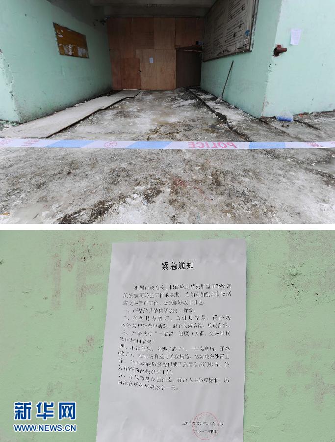 上海6日起暫?；钋萁灰?關(guān)閉所有活禽交易市場