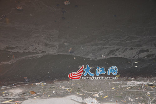 19日晚上的玉帶河，紅色河水變回灰綠色。