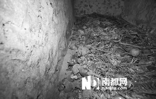 　5月29日，在以色列特拉維夫市雅法地區(qū)，一處集體墳?zāi)贡话l(fā)現(xiàn)。