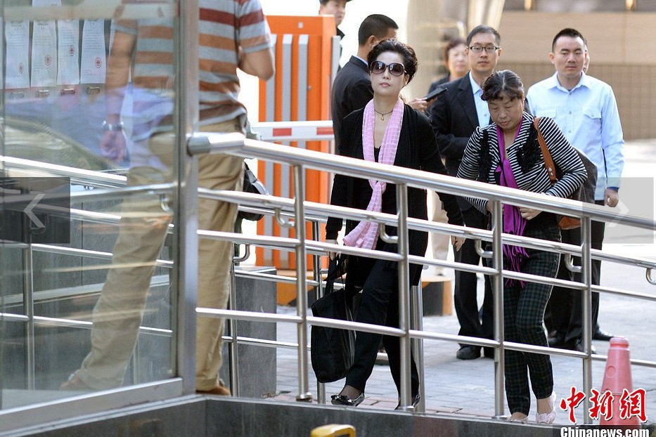 夢(mèng)鴿現(xiàn)身海淀法院。中新網(wǎng)記者 金碩 攝