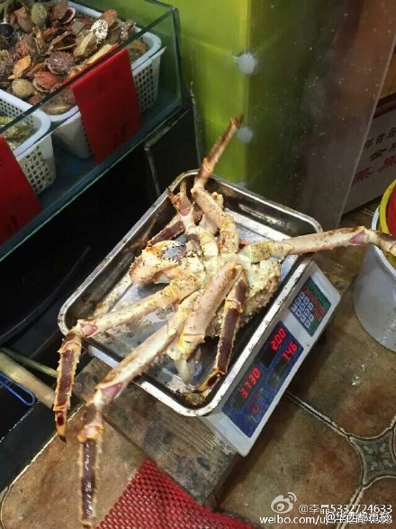網(wǎng)友提供圖片。