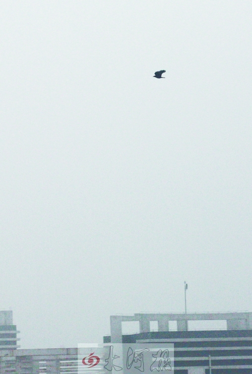 全省35個縣市發(fā)布惡劣天氣預(yù)警信號，其中15個發(fā)布大霧紅色預(yù)警