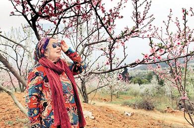 公式“時尚奶奶”的賞花照，收獲了好多人的點贊。 受訪者供圖
