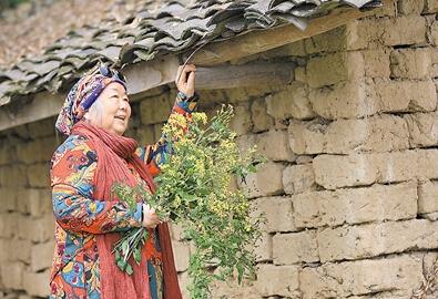 公式“時尚奶奶”的賞花照，收獲了好多人的點贊。 受訪者供圖