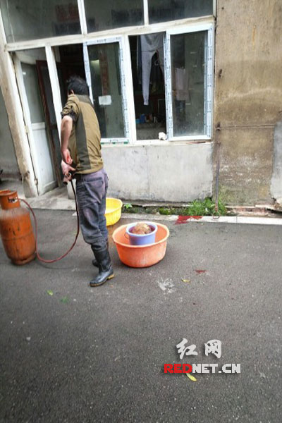 5月8日，男子在校園里殺狗，地上殘留一塊血跡。目擊者供圖。