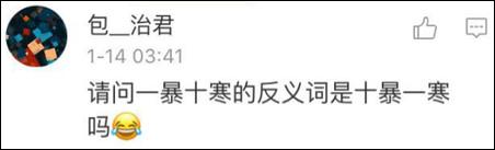 鶴立雞群？雞立鶴群！