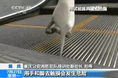 家長(zhǎng)只顧低頭看手機(jī) 小女孩乘坐電梯手被門(mén)縫夾住