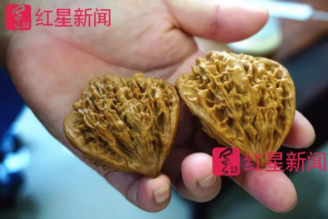 文玩核桃遇冷由幾萬一對降到5元沒人要？商戶否認(rèn)