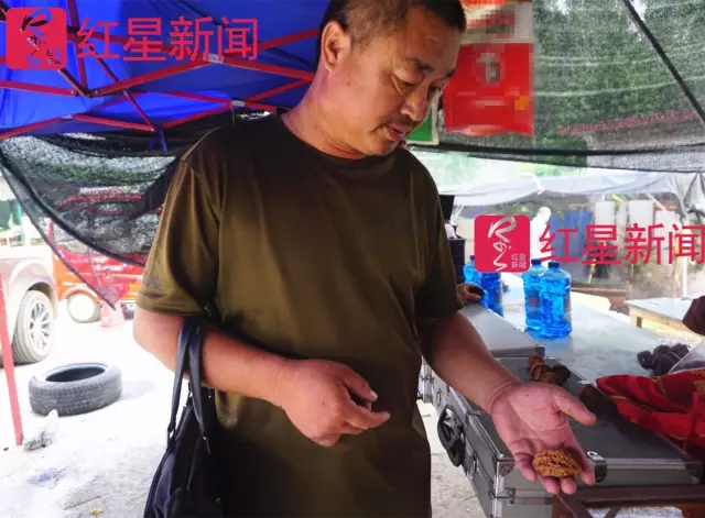 文玩核桃遇冷由幾萬一對降到5元沒人要？商戶否認(rèn)