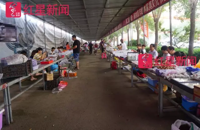 文玩核桃遇冷由幾萬一對降到5元沒人要？商戶否認(rèn)