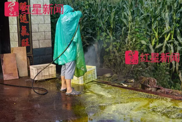 文玩核桃遇冷由幾萬一對降到5元沒人要？商戶否認(rèn)