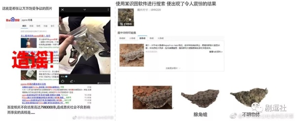 PGone又教給我們一個新詞：虐粉。