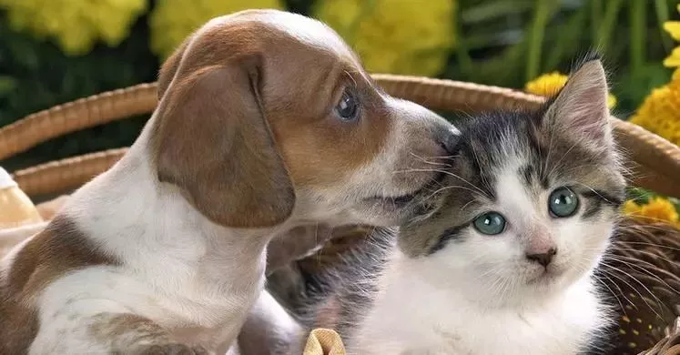 可憐！12歲女孩右眼完全失明 只因平時有這愛好