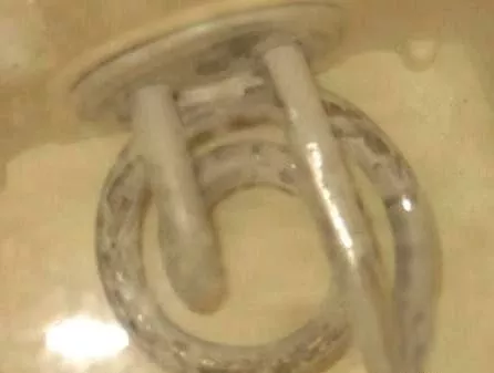 太惡心！女游客竟用酒店燒水壺煮自己的臟內(nèi)褲