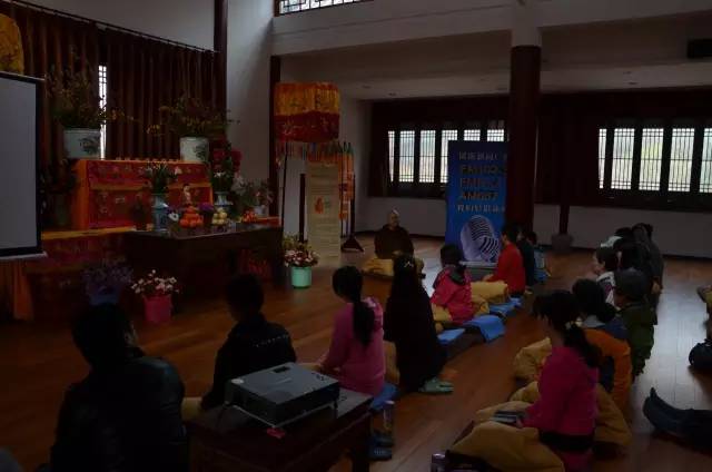 靜心之旅——河南新聞廣播聽(tīng)眾粉絲走進(jìn)法眼寺