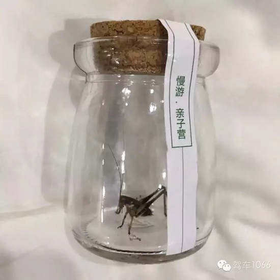 看看我的成果吧！