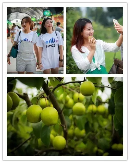 美女與香梨，你更愛(ài)哪一個(gè)？！