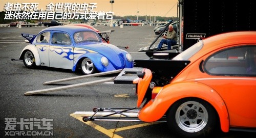 大眾甲殼蟲(chóng) 大眾甲殼蟲(chóng)