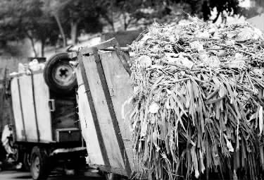 垃圾車、渣土車再在市區(qū)“裸奔”就是違法了
