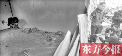 12月4日，鄭州市未來路與隴海路交叉口西側(cè)，執(zhí)法人員用吹管麻醉針對(duì)付一只藏獒