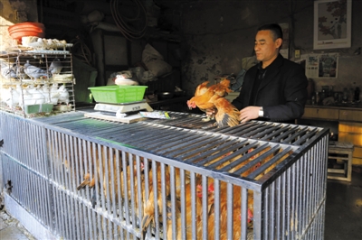 南京另一家農貿市場內待售的活雞。因南京出現(xiàn)H7N9禽流病例，買活雞的顧客減少。