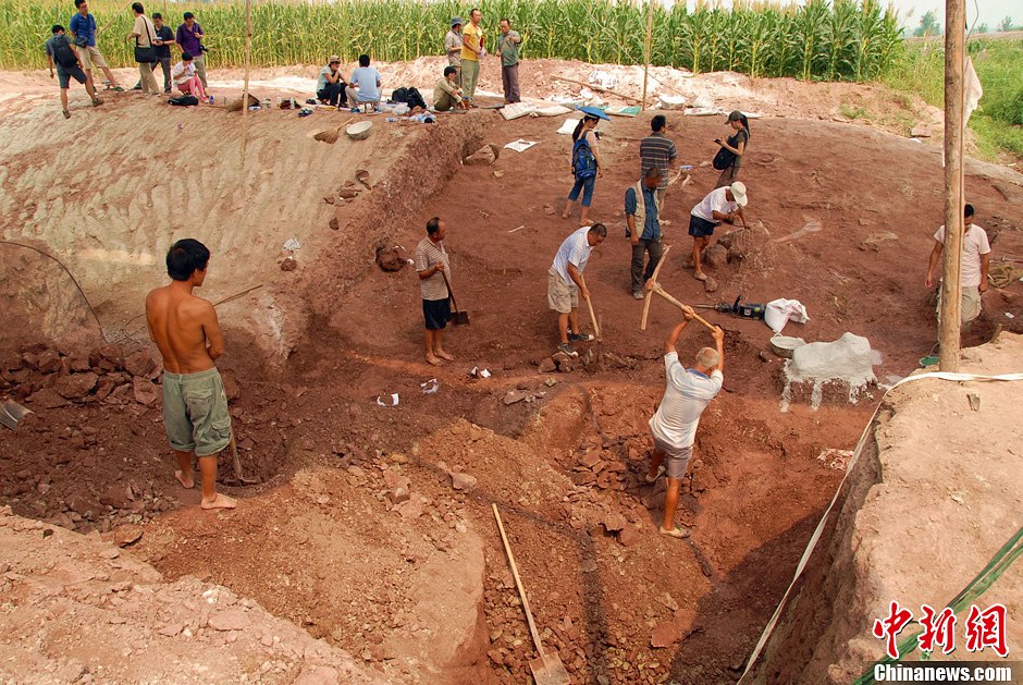 恐龍化石發(fā)掘現(xiàn)場。