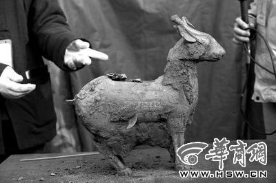 一件似羊似鹿的犧尊華麗亮相，可愛的造型“萌翻”現(xiàn)場。