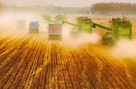 田里，一臺(tái)臺(tái)收割機(jī)唱著豐收歌。