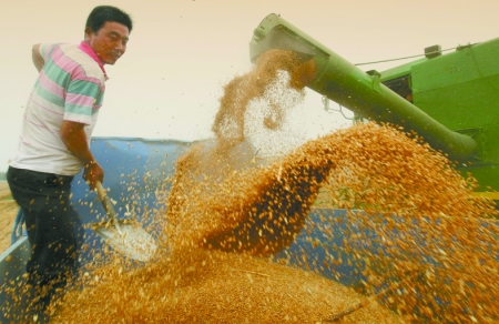 心情喜悅麥龍舞。