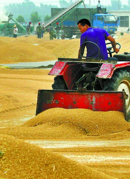 精心晾曬，散倉(cāng)入庫(kù)。