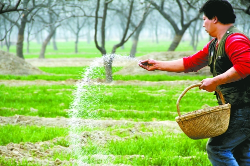 3月18日，內(nèi)黃縣城關(guān)鎮(zhèn)農(nóng)民在給小麥?zhǔn)┓省Ｑ巯抡嵌←湻登嗟年P(guān)鍵時(shí)期，內(nèi)黃縣廣大農(nóng)民積極開展以澆水