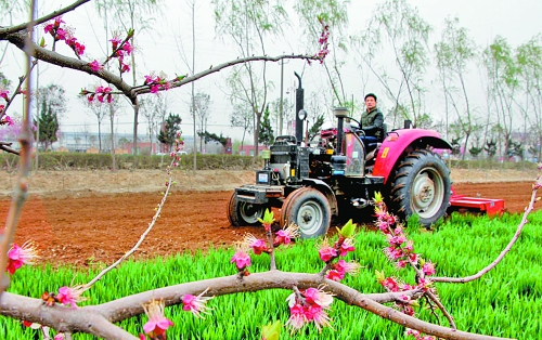 　　3月25日，武陟縣龍?jiān)崔k事處東馬曲村村民正在田里耕作。時(shí)下正值春耕時(shí)節(jié)，武陟農(nóng)民紛紛抓住有利時(shí)機(jī)