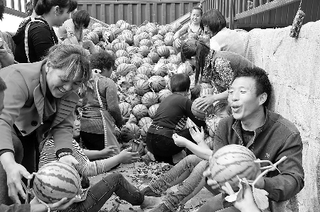 　眼下，內(nèi)黃縣東莊鎮(zhèn)種植的“無(wú)公害西瓜”豐收，市場(chǎng)緊俏。圖為5月6日，瓜農(nóng)準(zhǔn)備把外銷的西瓜裝車。劉肖
