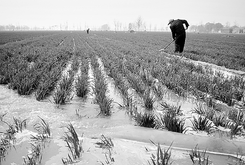 3月25日，濮陽縣郎中鄉(xiāng)大趙寨村農(nóng)民在為小麥澆水。連日來，濮陽縣廣大農(nóng)民不誤農(nóng)時(shí)，及時(shí)為麥田施肥、澆