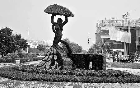 8月28日，南陽街頭繁花似錦，市民宛若行走在花海之中。