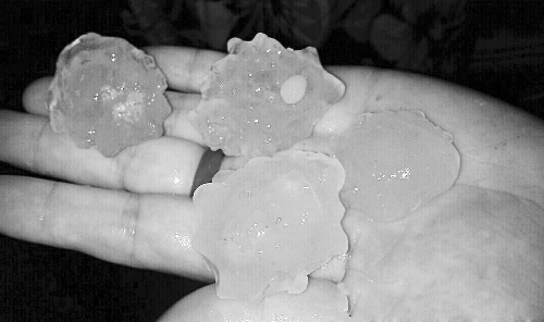 昨天凌晨，三門峽下起了冰雹，最大直徑近1厘米 微博截圖