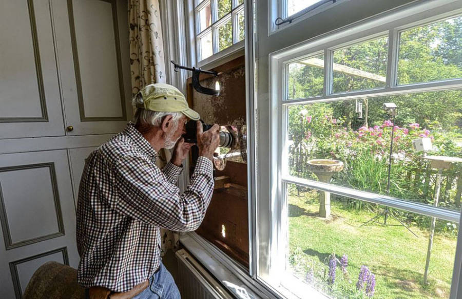 老人自制相機(jī)拍小鳥“梳洗”照 老人自制相機(jī)拍小鳥“梳洗”照