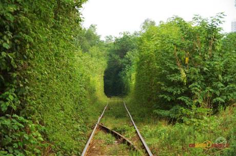 西安現(xiàn)“小清新”鐵路 西安現(xiàn)“小清新”鐵路