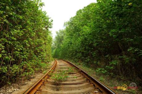 西安現(xiàn)“小清新”鐵路 西安現(xiàn)“小清新”鐵路