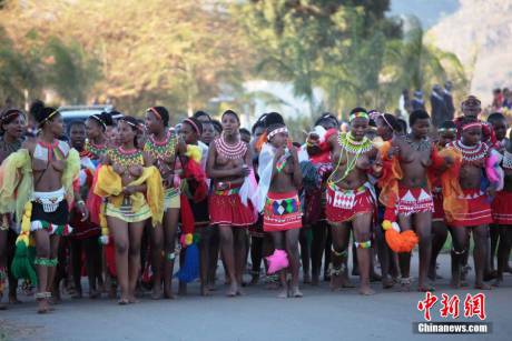 斯威士蘭蘆葦節(jié)開選秀女 斯威士蘭蘆葦節(jié)開選秀女