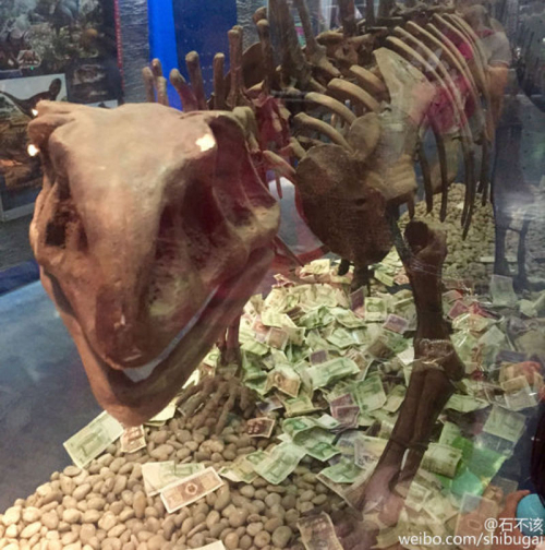 恐龍展柜成功德箱 恐龍展柜成功德箱